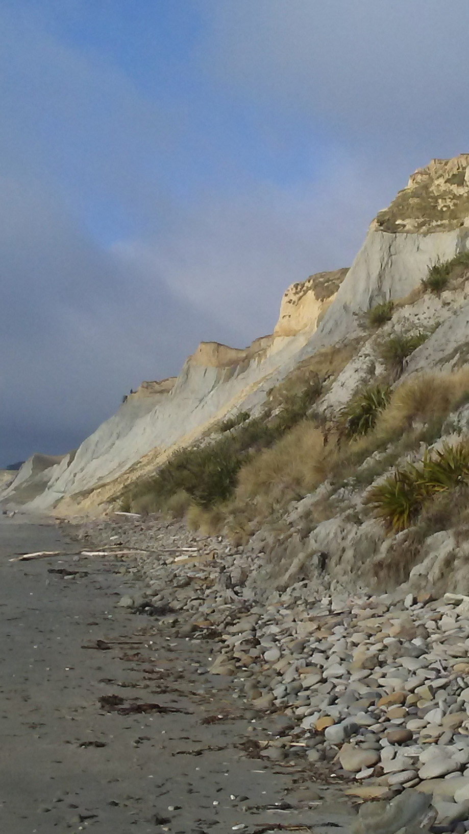 Eocene marine outcrops at Glenafric Station, New Zealand